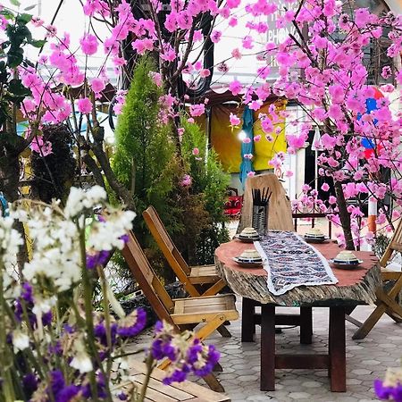 Doc Bo Homestay Νταλάτ Εξωτερικό φωτογραφία
